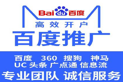 成功SEM服务案例：优化广告投放